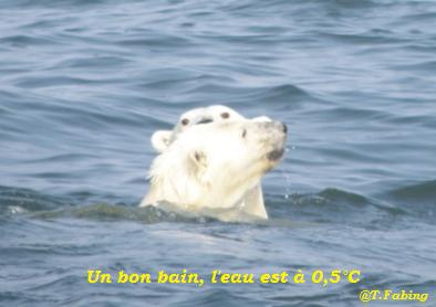 bain pour les ours.jpg