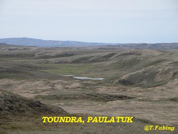 Toundra Paulatuk.jpg