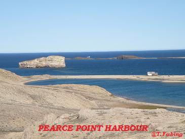 Pearce Point Harbour.jpg