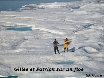 Gilles et Patrick sur un floe.jpg
