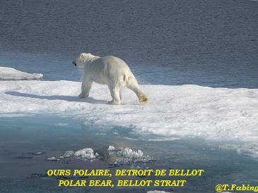 ours bellot.jpg