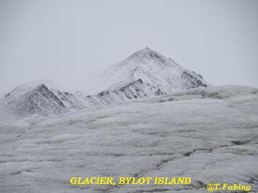 glacier bylot.jpg